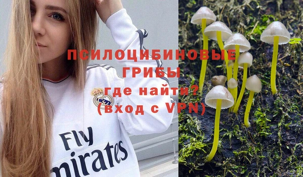 кокаин премиум Богданович