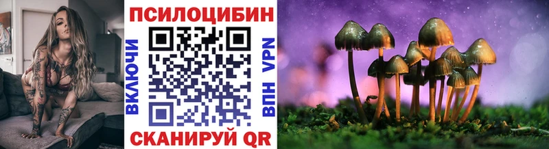 наркота кракен ONION Псилоцибиновые грибы Cubensis Будённовск
